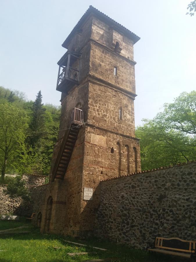 Guest House Darejani Kutaisi Exterior photo