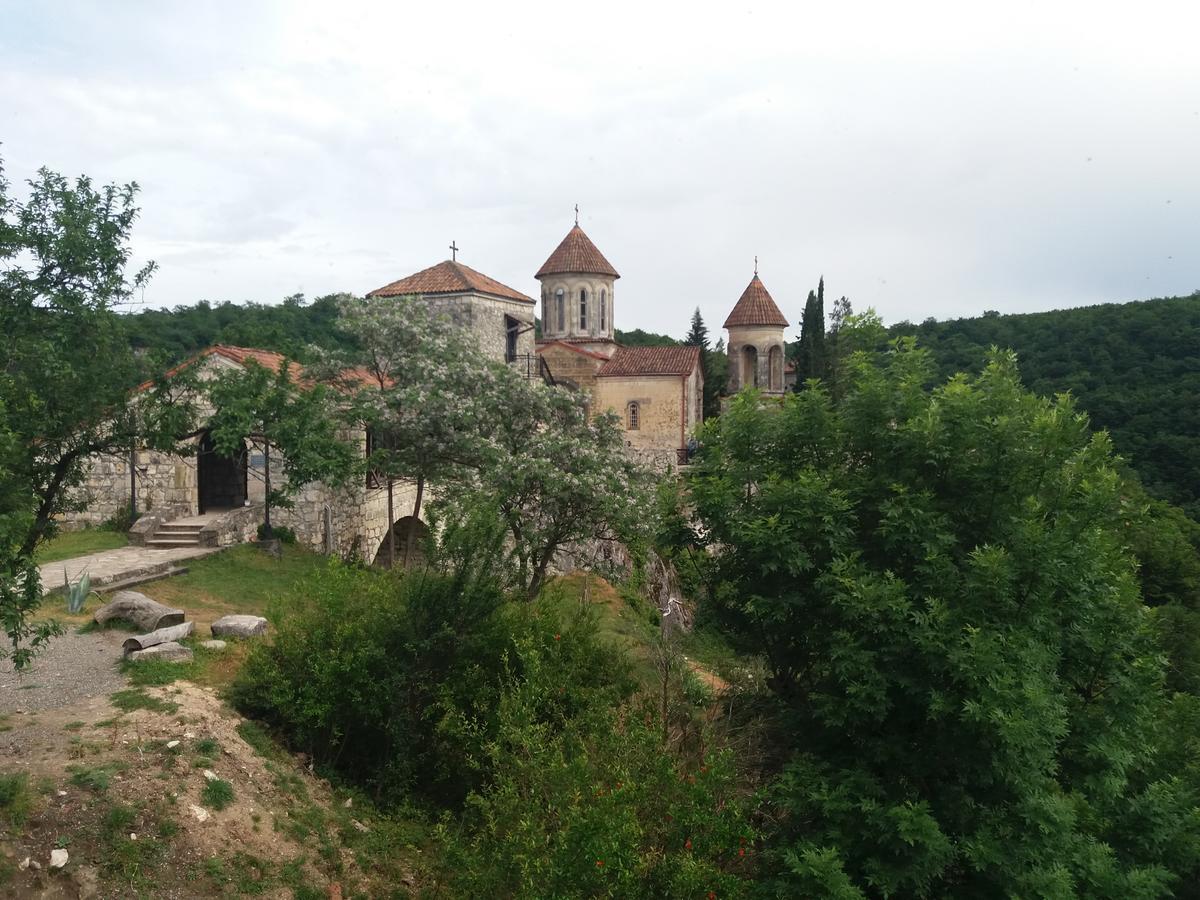 Guest House Darejani Kutaisi Exterior photo